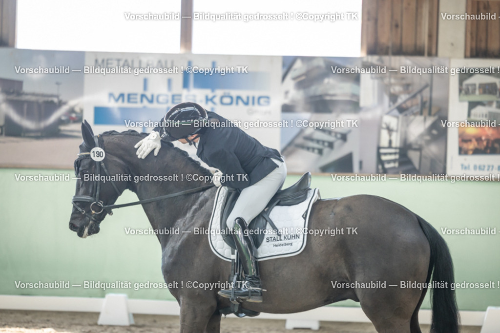 _D5A0916 | Emotionale Pferde- & People-Fotografie rund um Heidelberg, Leimen & Umgebung. Natürliche Fotos von Pferd, Mensch & Familie. Jetzt Termin sichern!