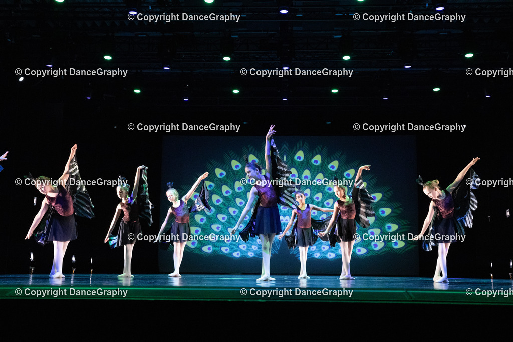 GPHY6158 | DanceGraphy - Realisiert mit Pictrs.com