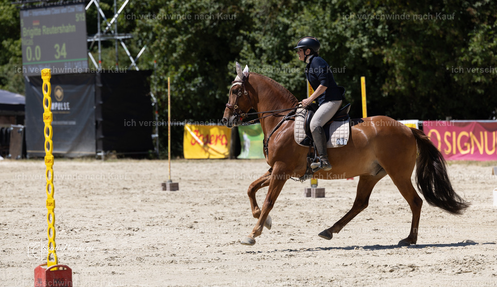WM_Speed_92_KerstinBernhardt-2 | working equitationturnier fotograf videograf stoibphotography marixx film working equitation deutschland reitsport turnierfotografie eventfotografie equestrian events
