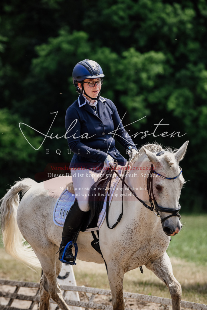 DSC_1797 | Pferde- und Turnierfotografie in Westsachsen. Pferdeportraits, Auftragszeichnungen und intuitive Kunst.