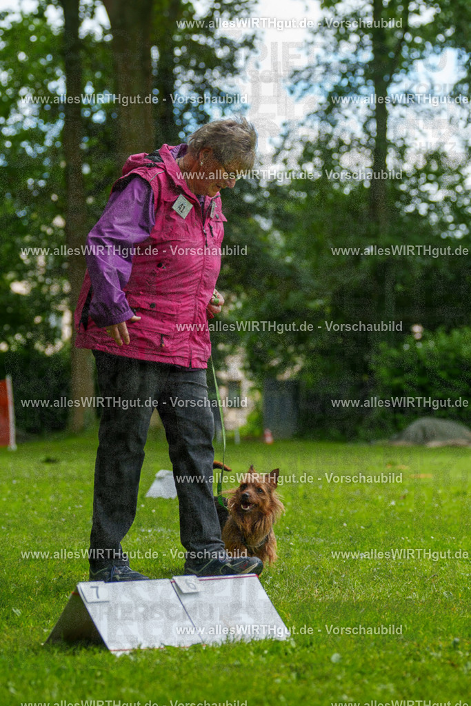 @allesWIRTHgut_Tierfotografie - www.allesWIRTHgut.de - 130658-7R509796 | Professionelle Tierfotografie in Mönchengladbach von Daniel Wirth (allesWIRTHgut). Liebevolle & natürliche Bilder von Hunden & Katzen für unvergessliche Erinnerungen.