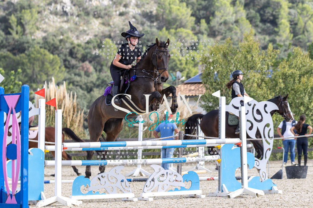 IMG_3290 | s-jay-photography - Realisiert mit Pictrs.com