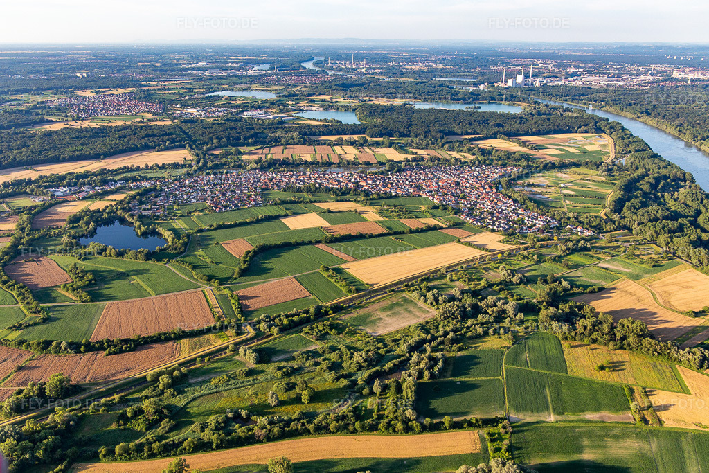 Luftbild: Ortsansicht von Süden in Neuburg am Rhein im Bundesland Rheinland-Pfalz in Deutschland. Foto: IMG_141936.jpg vom 28.06.2024 durch Werner Riehm/FLY-FOTO.de
