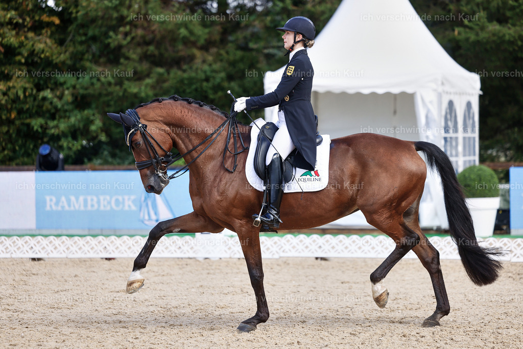 07-003-DRESSUR  S___  -StoibPH-5067 | working equitationturnier fotograf videograf stoibphotography marixx film working equitation deutschland reitsport turnierfotografie eventfotografie equestrian events