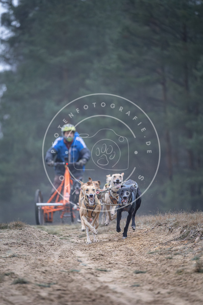 Pfotenfotografie_DV3A0142 | Hundefotografie, Tierfotograf, Pfotenfotografie, Fotoshooting Hund, Hunde Portrait, Hundesport, Hundeportraits, Heideshooting, Hunde, Sportfotograf, Hundefotograf, Turnierhundsport, THS,  - Realisiert mit Pictrs.com