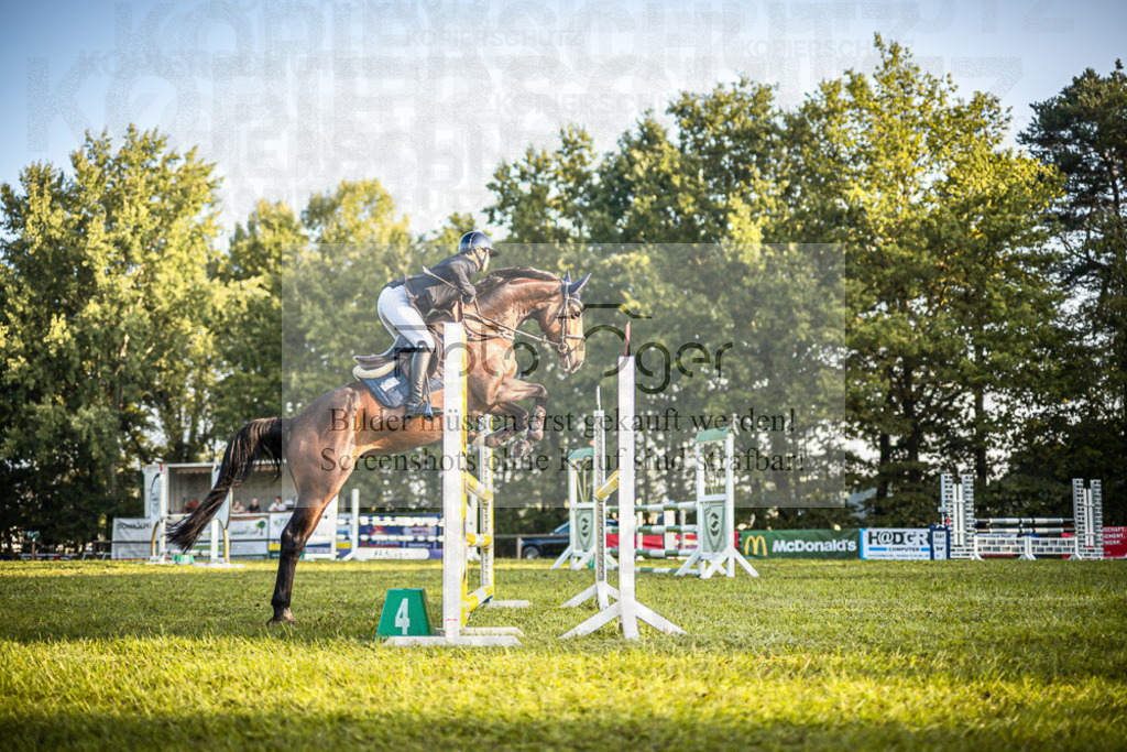 Z63_0203 | Entdecke hochwertige Reitturnierfotos von Foto Oger. Professionell, emotional und authentisch – jetzt Lieblingsmomente im Shop bestellen.Deutschlandweite Turnierfotografie. - Realisiert mit Pictrs.com