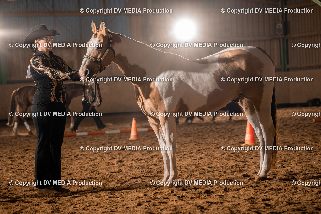 BAL01178 | dv-media-shop - Realisiert mit Pictrs.com