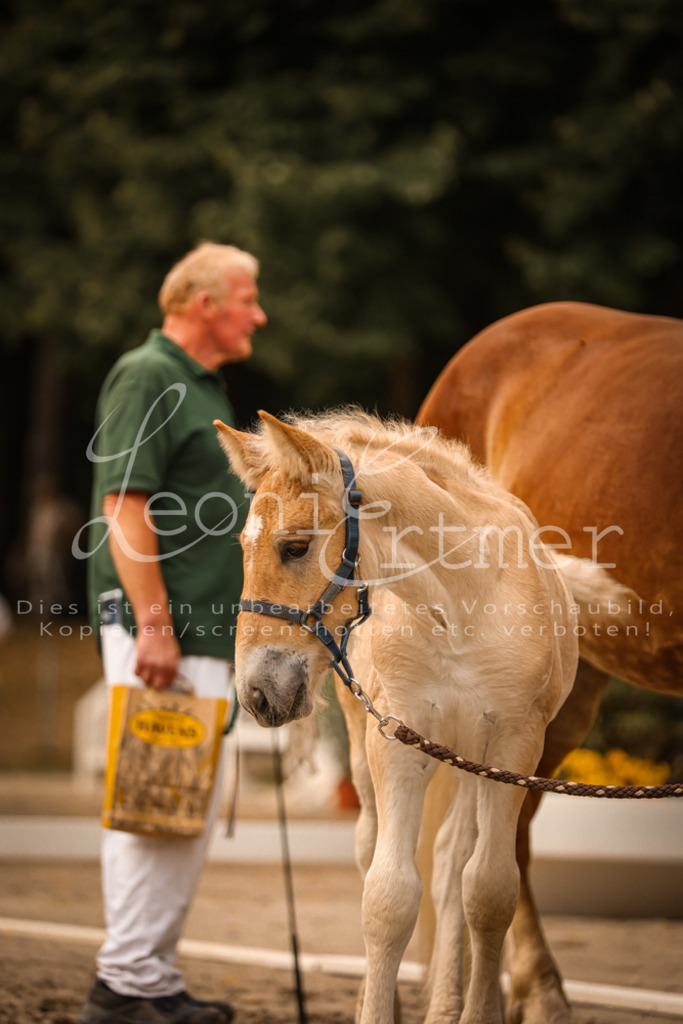 SaSF00114 | Leoni Ertmer Photography - Realisiert mit Pictrs.com