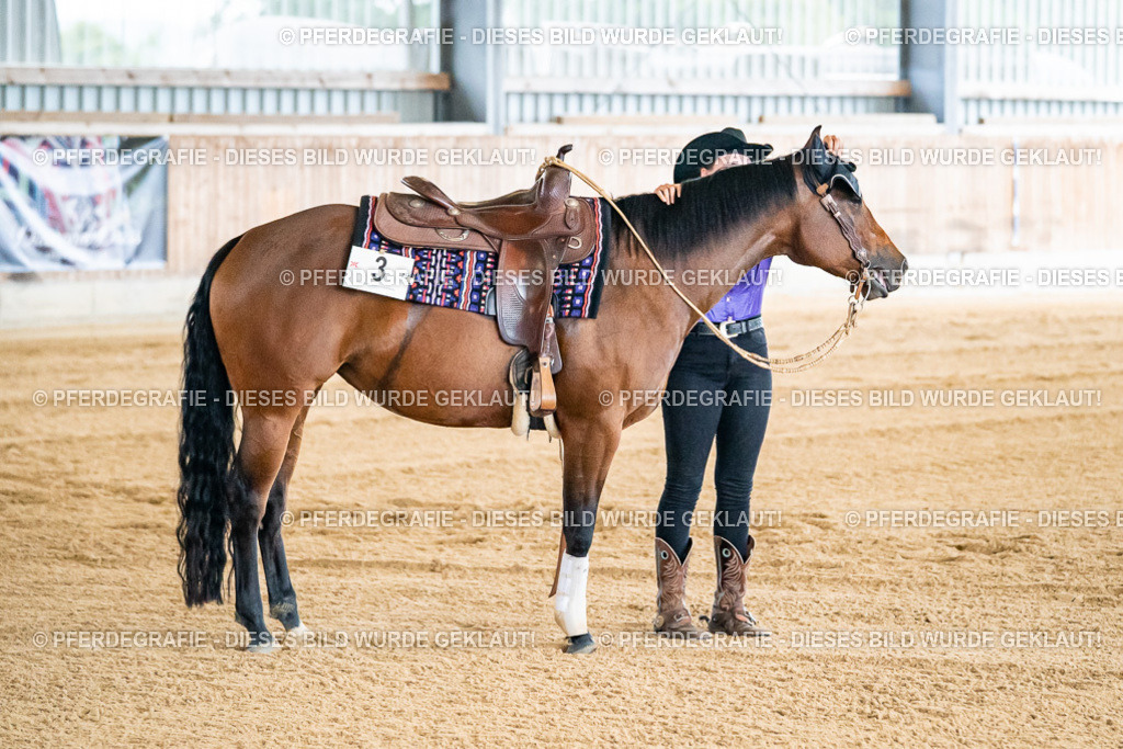 DSC06224 | Pferdegrafie