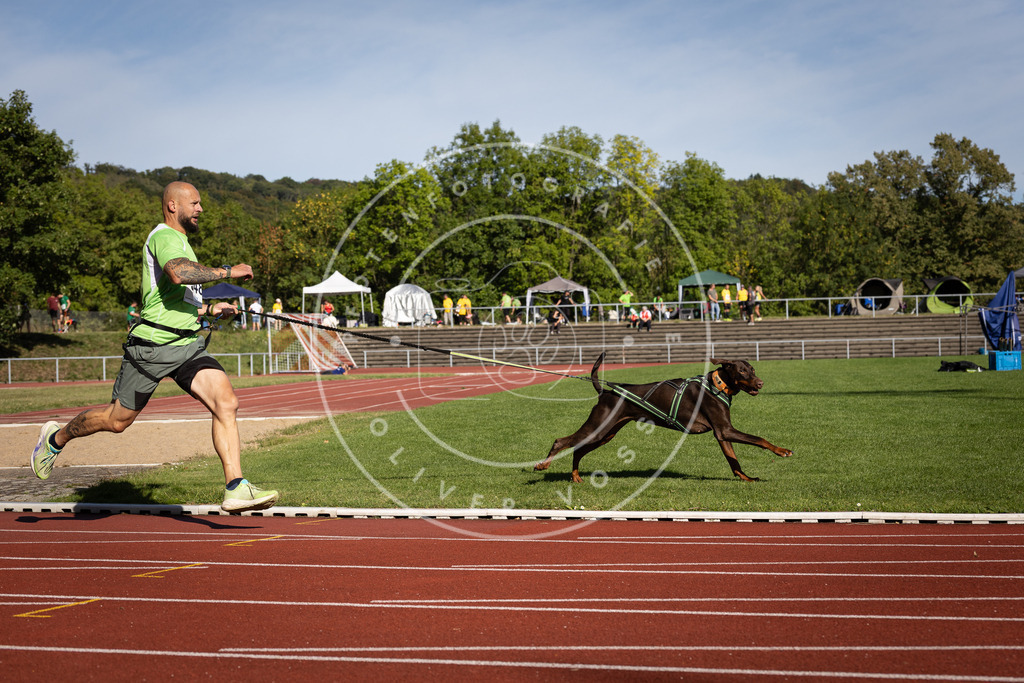 Pfotenfotografie_DV3A8799 | Hundefotografie, Tierfotograf, Pfotenfotografie, Fotoshooting Hund, Hunde Portrait, Hundesport, Hundeportraits, Heideshooting, Hunde, Sportfotograf, Hundefotograf, Turnierhundsport, THS,  - Realisiert mit Pictrs.com