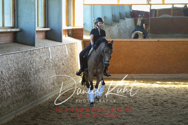 DKP42400 | Turniersportfotografie; Pferdefotografie; Dressurfotografie