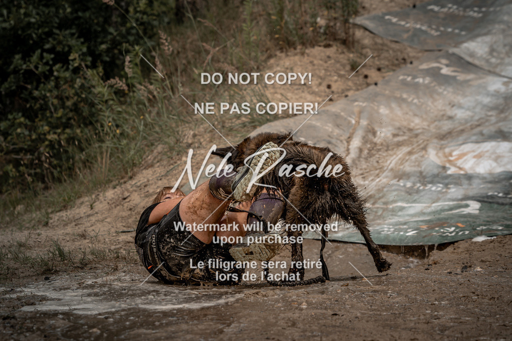 nelerasche_sa1345-1430_343 | nelerasche