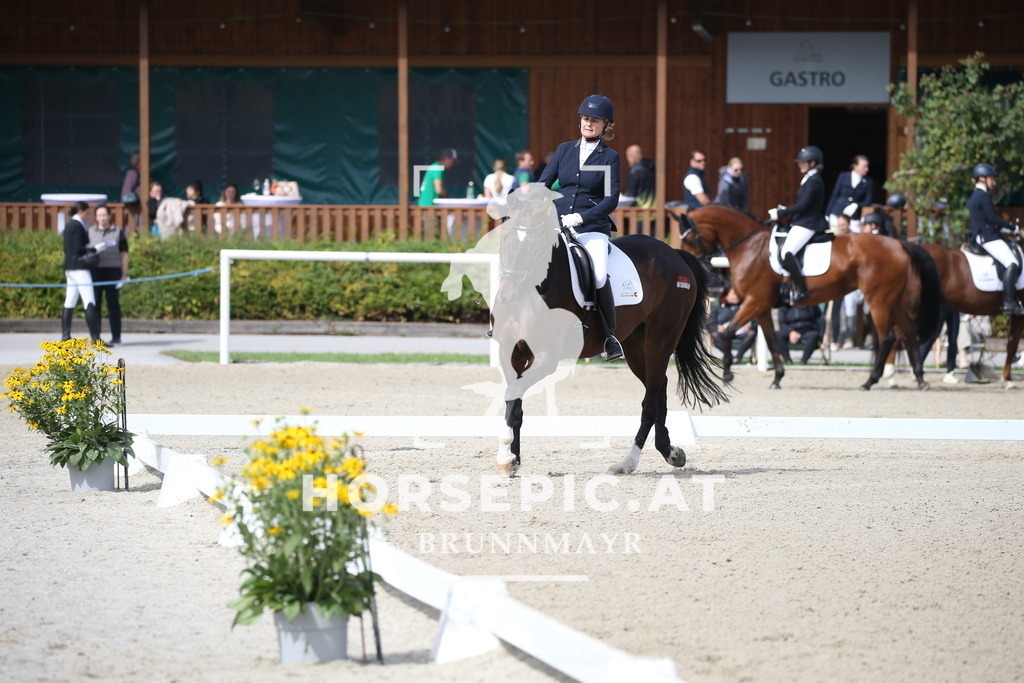 DL2Q2916 | Willkommen bei Brunnmayr - Design & Fotografie – Ihrem Spezialisten für Reitturniere und Pferdeveranstaltungen in Oberösterreich, Salzburg und Bayern! Seit über 17 Jahren sind wir leidenschaftlich dabei.