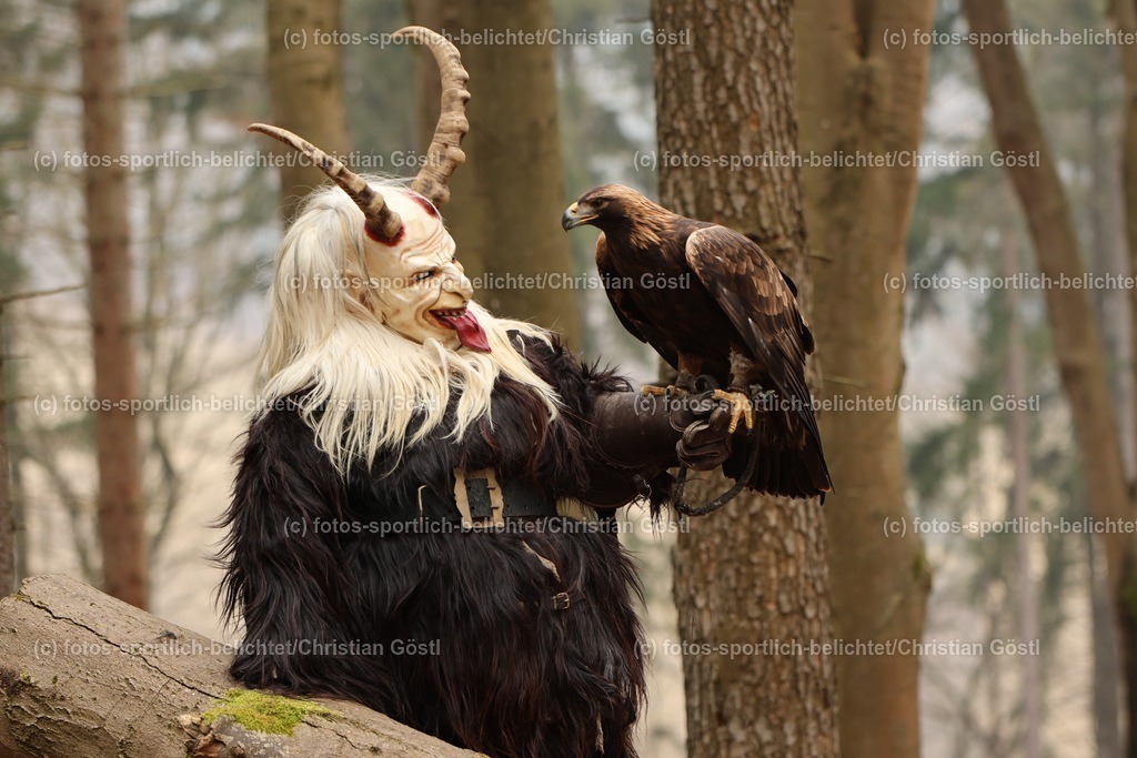 IMG_1655 | fotos-sportlich-belichtet - Realisiert mit Pictrs.com