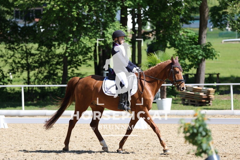 0P6A0021 | Willkommen bei Brunnmayr - Design & Fotografie – Ihrem Spezialisten für Reitturniere und Pferdeveranstaltungen in Oberösterreich, Salzburg und Bayern! Seit über 17 Jahren sind wir leidenschaftlich dabei.