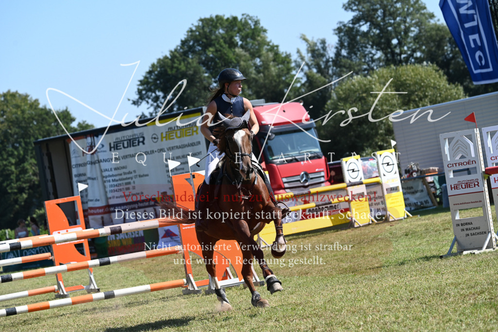 DSC_6462 | Pferde- und Turnierfotografie in Westsachsen. Pferdeportraits, Auftragszeichnungen und intuitive Kunst.