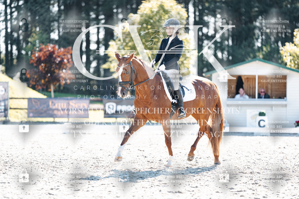 CK906054 | Turnierfotografie Pferdefotografie Trier Rheinland-Pfalz Pferdesport Reitsport Tierfotografie Sportfotografie Pferdevideo Pferdevideografie Equestrianvideography equestrianphotography  - Realisiert mit Pictrs.com