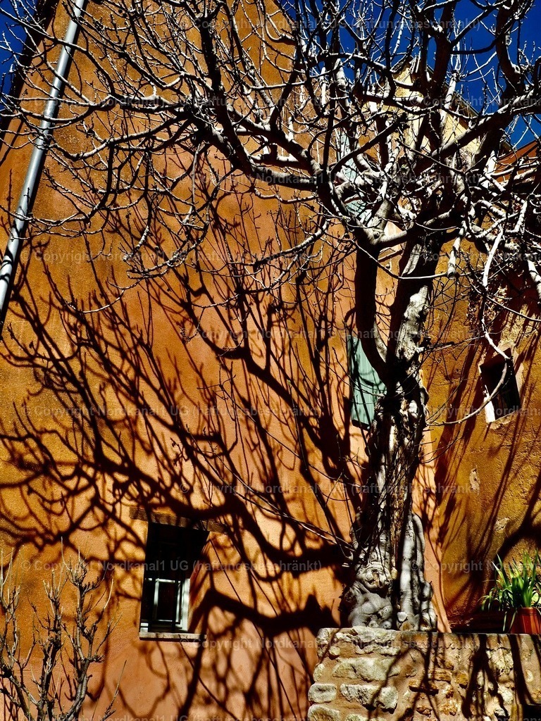 IMG_2994 | OLYMPUS DIGITAL CAMERA          - Realisiert mit Pictrs.com