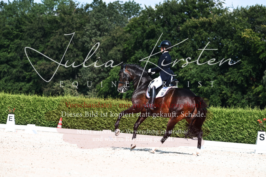 DSC_3401 | Pferde- und Turnierfotografie in Westsachsen. Pferdeportraits, Auftragszeichnungen und intuitive Kunst.