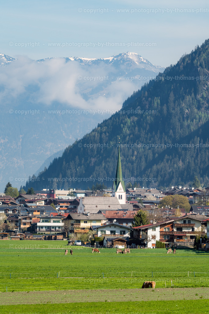 Stumm im Frühling copyright  Thomas Pfister-5 | PHOTOGRAPHY BY THOMAS PFISTER
