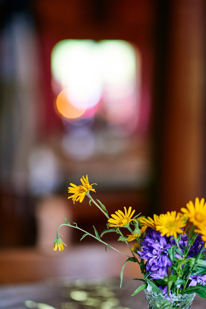 Bunte Alpenblumen im Gastzimmer | Gnanitz, Austria - June 27, 2017: Bunte Alpenblumen im Gastzimmer. - Realisiert mit Pictrs.com