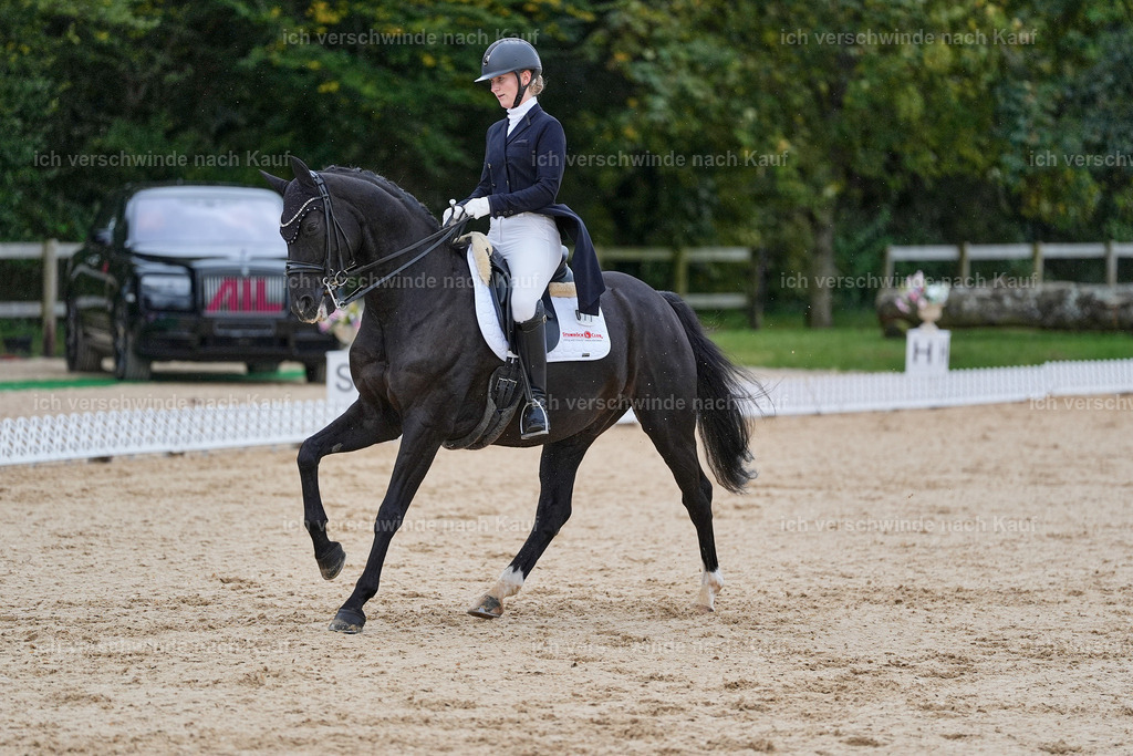 8_1-077-Klasse S_  -StoibPH-3813 | working equitationturnier fotograf videograf stoibphotography marixx film working equitation deutschland reitsport turnierfotografie eventfotografie equestrian events