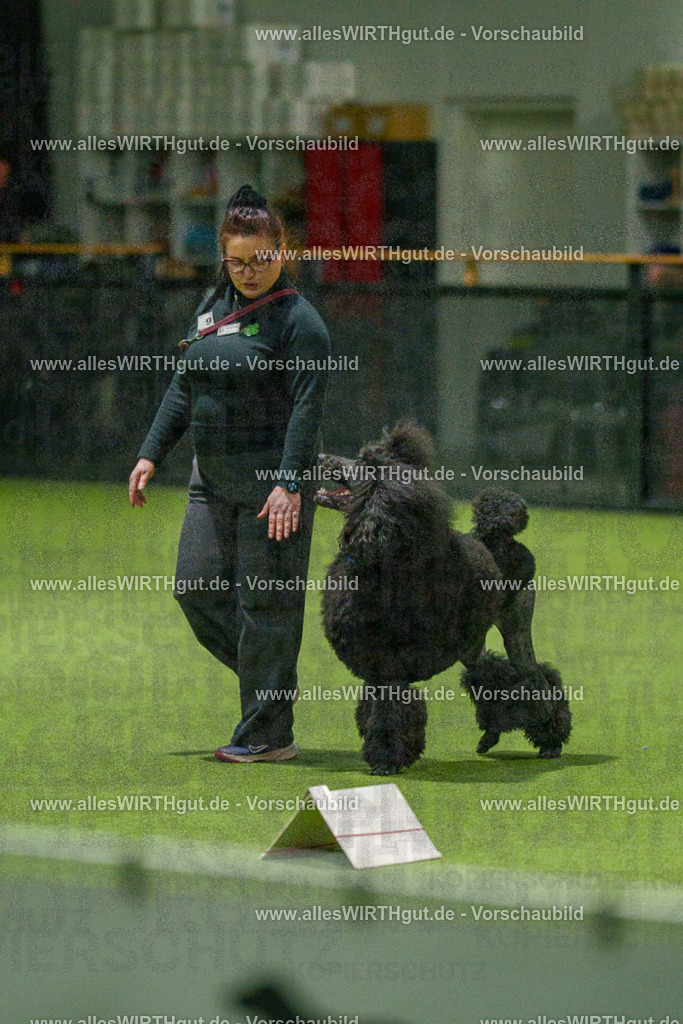 7R508813 | Professionelle Tierfotografie in Mönchengladbach von Daniel Wirth (allesWIRTHgut). Liebevolle & natürliche Bilder von Hunden & Katzen für unvergessliche Erinnerungen.