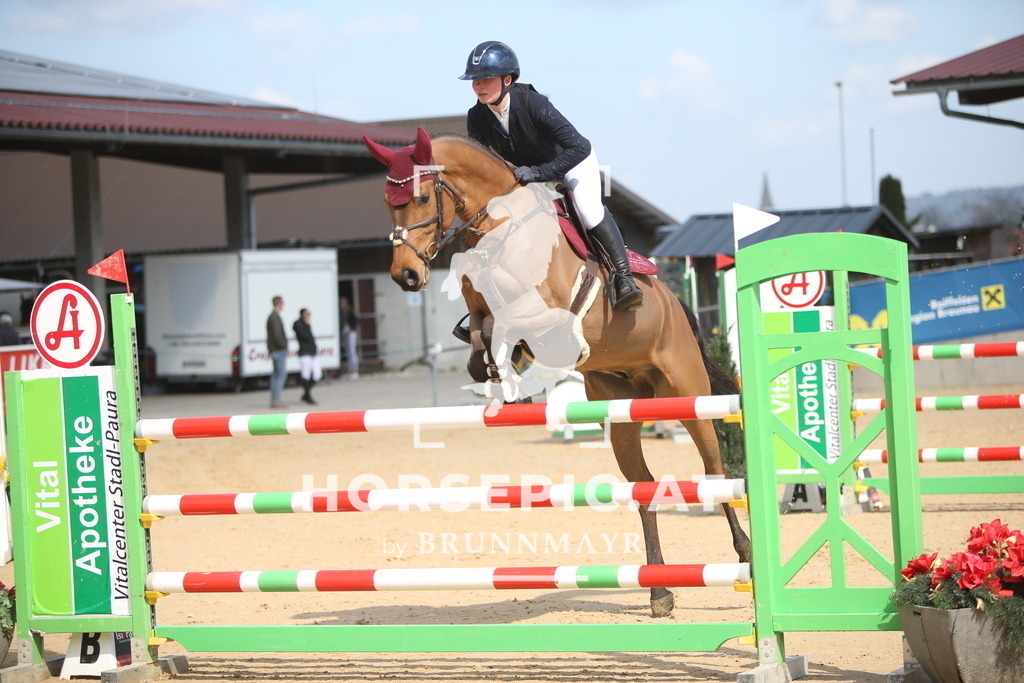 AS8V6262 | Willkommen bei Brunnmayr - Design & Fotografie – Ihrem Spezialisten für Reitturniere und Pferdeveranstaltungen in Oberösterreich, Salzburg und Bayern! Seit über 17 Jahren sind wir leidenschaftlich dabei.