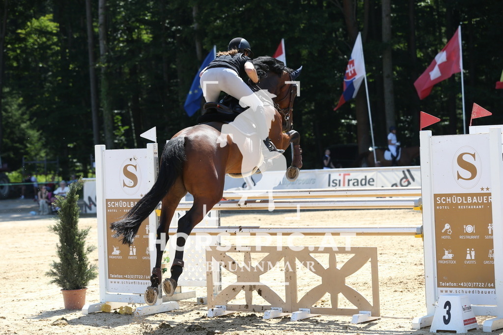 DL2Q3850 | Willkommen bei Brunnmayr - Design & Fotografie – Ihrem Spezialisten für Reitturniere und Pferdeveranstaltungen in Oberösterreich, Salzburg und Bayern! Seit über 17 Jahren sind wir leidenschaftlich dabei.