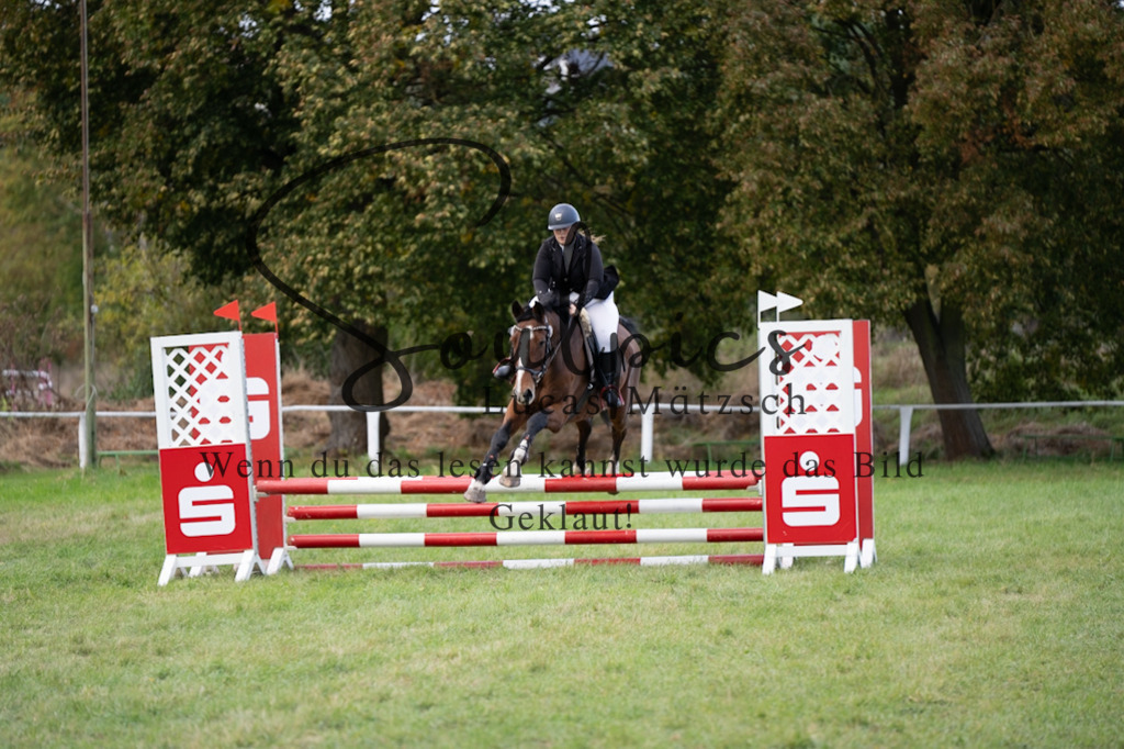 A7V06442 | Pferdefotograf