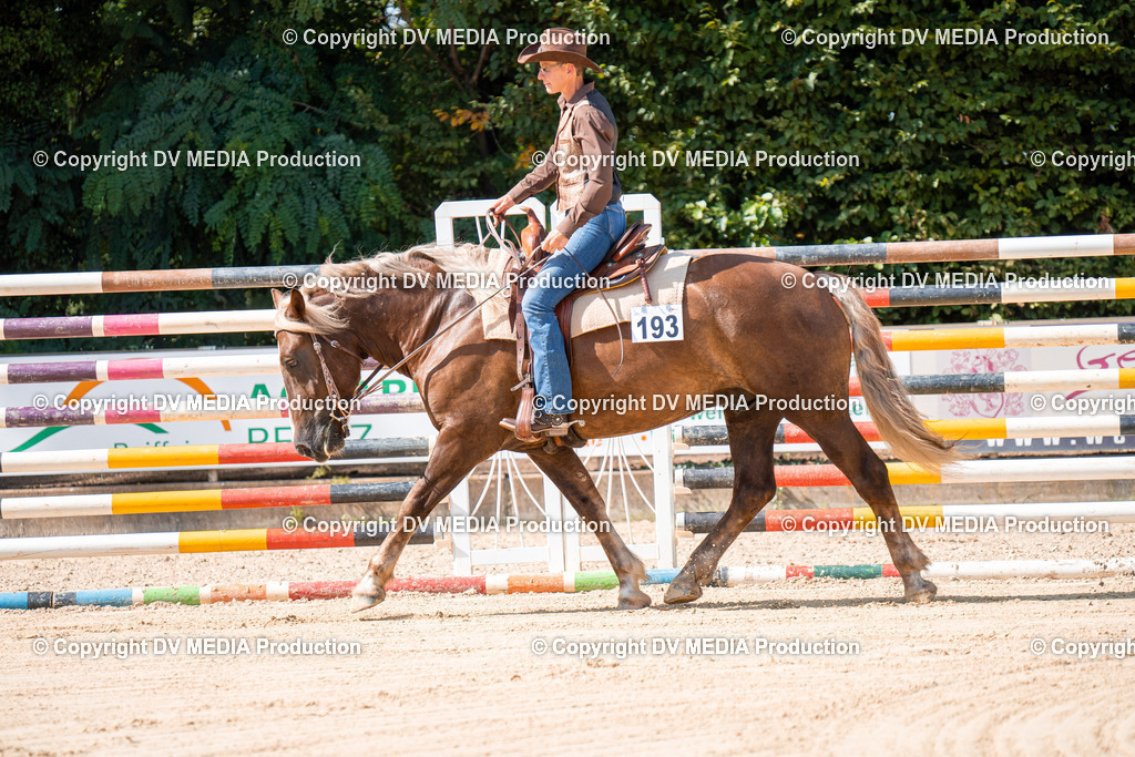 ZH100679 | dv-media-shop - Realisiert mit Pictrs.com