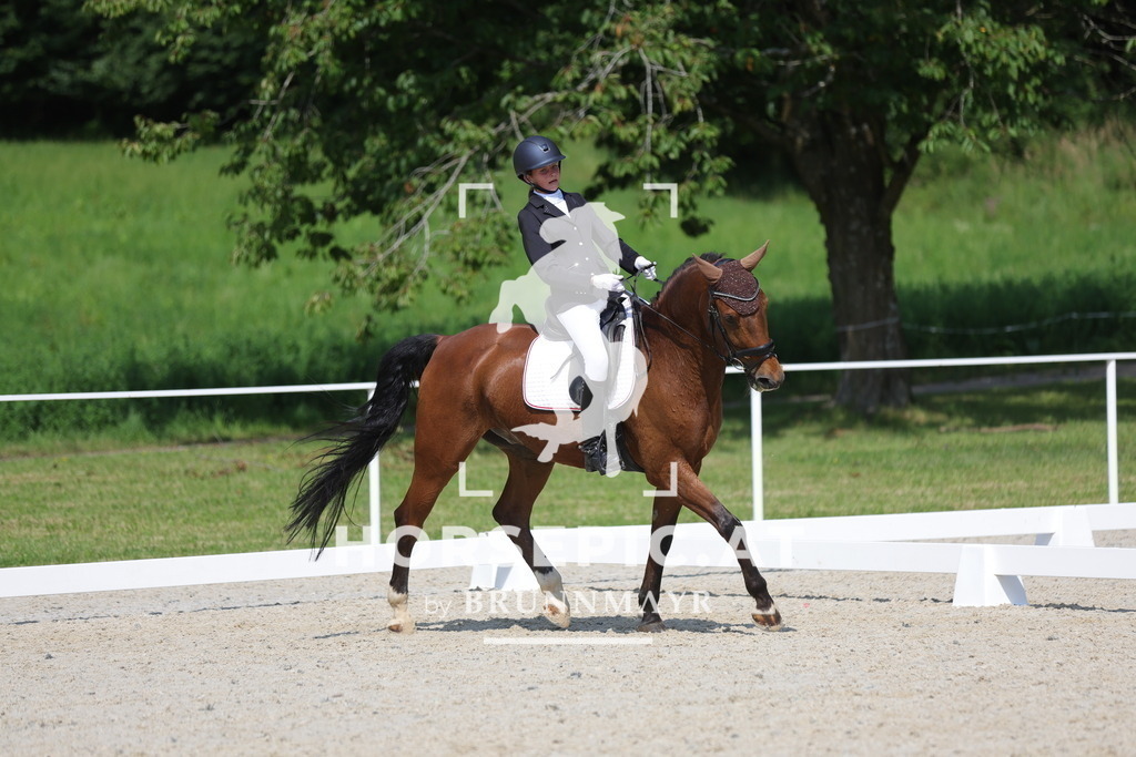 0P6A9253 | Willkommen bei Brunnmayr - Design & Fotografie – Ihrem Spezialisten für Reitturniere und Pferdeveranstaltungen in Oberösterreich, Salzburg und Bayern! Seit über 17 Jahren sind wir leidenschaftlich dabei.