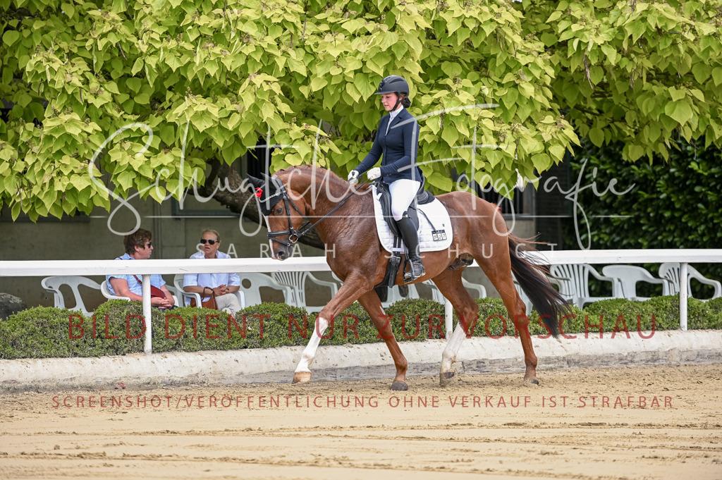 Schugtsche-Aluta25-48.Reitpferfdeprf.-144 | Schugtsche Fotografie - Realisiert mit Pictrs.com