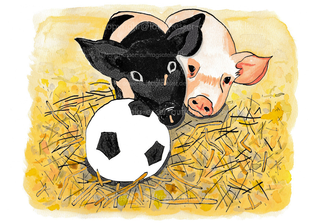 109 Zwei Ferkel spielen mit einem Fussball jpg | Echtes Aquarell zeigt 2 spielende Ferkel. Die Schweine spielen mit einem kleinen Fußball. Sie haben Platz in einer Scheune voller Stroh.