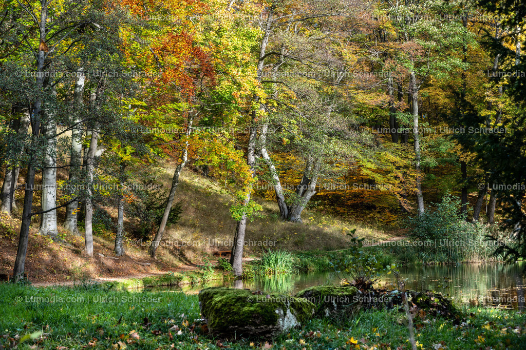 10049-12615 - Schloßpark Ilsenburg im Harz | Stockfoto und Bilderpool mit Bildmaterial aus Deutschland, dem Harz, Halberstadt, Quedlinburg, Wernigerode und weltweit. Qualitativ hochwertige und professionelle Fotos anschauen und kaufen. - Realisiert mit Pictrs.com