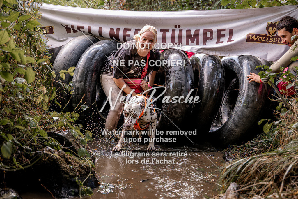 nelerasche_Hunsrück2026_Sa1400-1500_197 | nelerasche