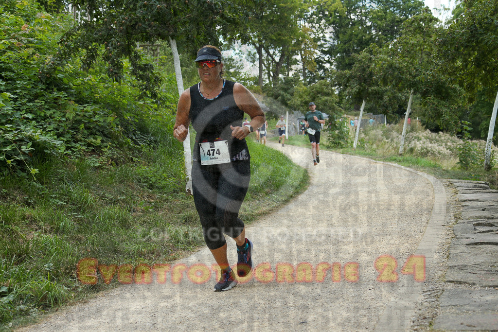 250824_1406_EX1_5000 | Sportfotografie im Rhein-Sieg Kreis, Köln, Bonn, NRW, Rheinland Pfalz, Hessen, etc. Unser Tätigkeitsfeld umfasst den Laufsport vom Volkslauf über den Marathon, Duathlon, Triathon bis zum Ultralauf wie Kölnpfad Ultra oder Schindertrail.