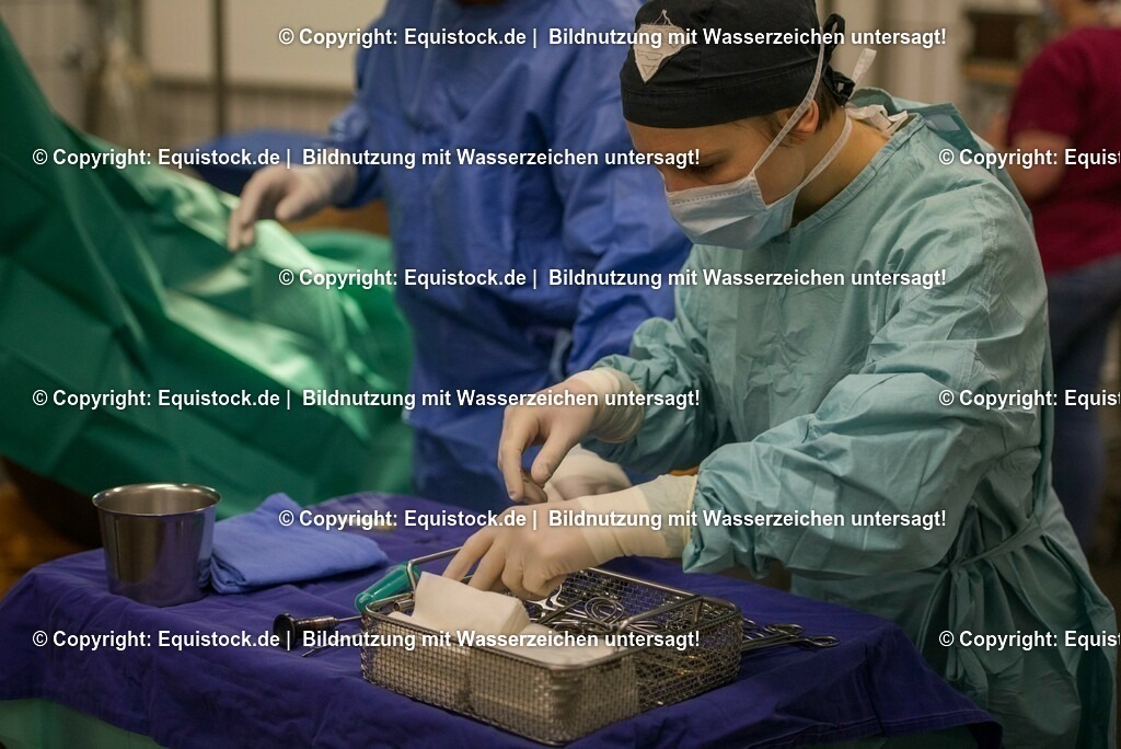 20160315_Arthroskopie_0020 | equistock