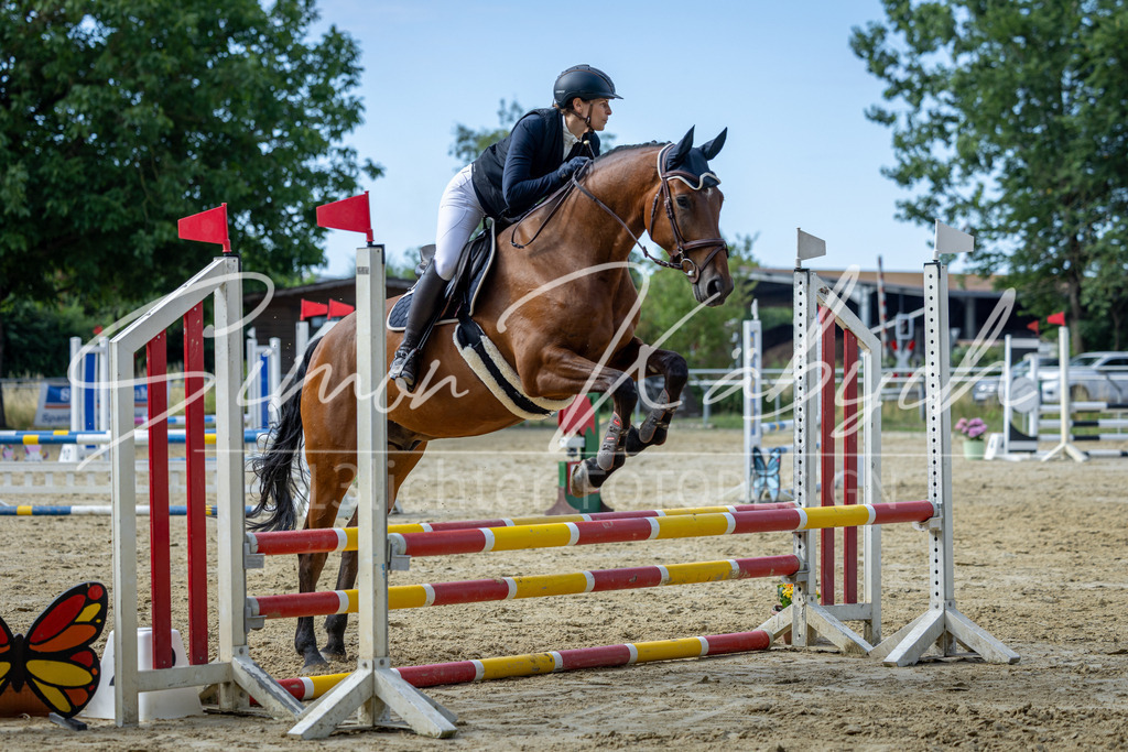 20260704-_3LI6591 | Tierfotografie Pferde, Hunde, Katzen, Haustiere.
Turnierfotografie Reitturniere, Reiten, Springreiten, Dressur in Hanau, dem Main-Kinzig-Kreis und dem Rhein-Main- Gebiet um Frankfurt
