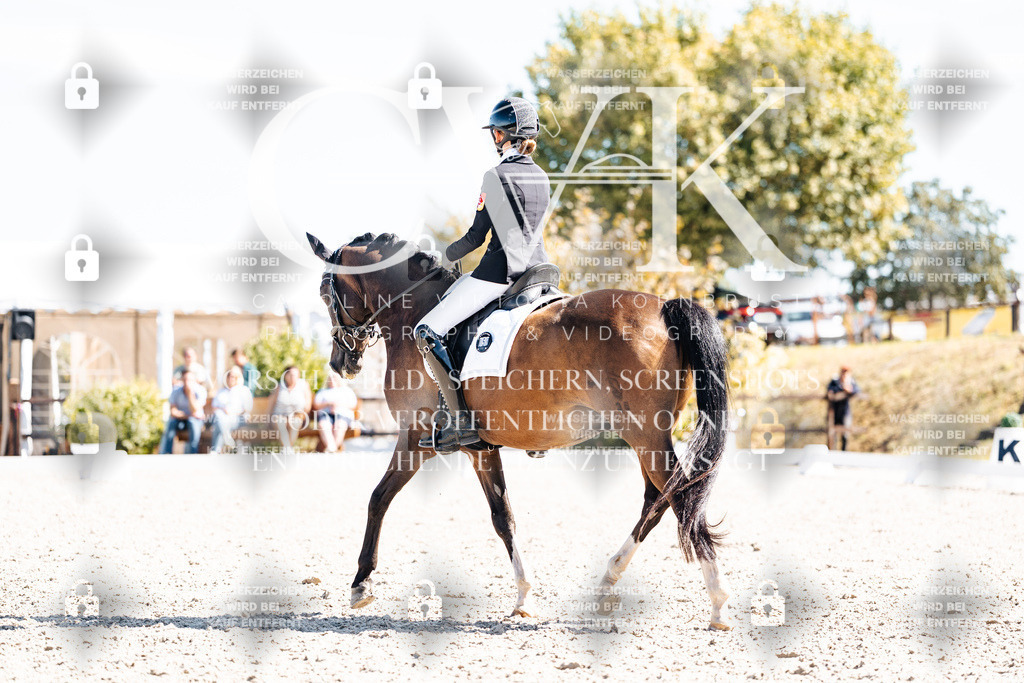 CK909610 | Turnierfotografie Pferdefotografie Trier Rheinland-Pfalz Pferdesport Reitsport Tierfotografie Sportfotografie Pferdevideo Pferdevideografie Equestrianvideography equestrianphotography  - Realisiert mit Pictrs.com