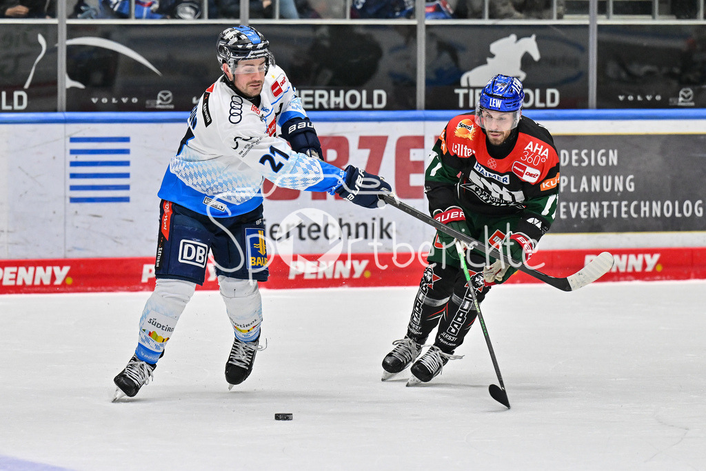 Augsburger Panther - ERC Ingolstadt | im Duell Wayne SIMPSON (ERC Ingolstadt #21) und Luca TOSTO (Augsburger Panther #77) / Zweikampf / DEL: Augsburger Panther - ERC Ingolstadt, Curt Frenzel Stadion am 26.01.2025