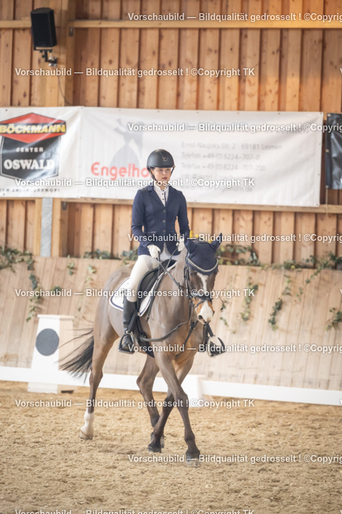 _D5A2438 | Emotionale Pferde- & People-Fotografie rund um Heidelberg, Leimen & Umgebung. Natürliche Fotos von Pferd, Mensch & Familie. Jetzt Termin sichern!