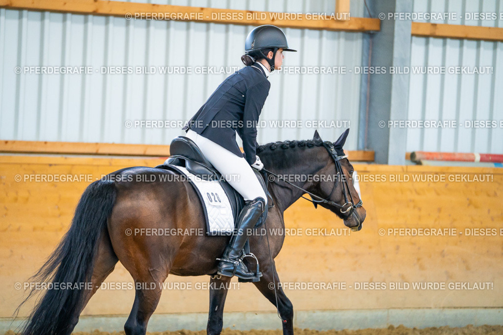 DSC06159 | Pferdegrafie