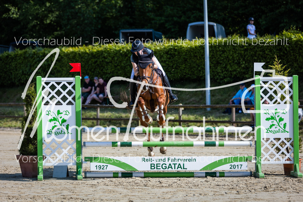 Donop24-ASpr-004 | MomenTaufnahmen Pferdesportfotos