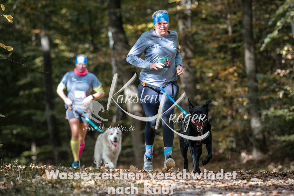 1310_ZZ97502 | kk-dogfotos