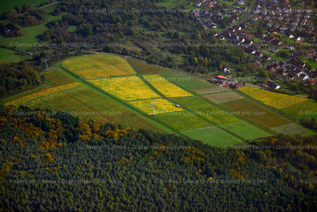 3491048 | Weinberge am Busigberg Großheubach
