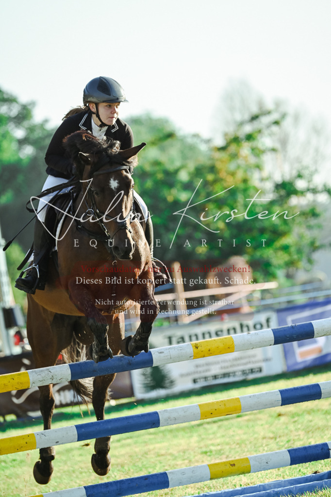 DSC_4268 | Pferde- und Turnierfotografie in Westsachsen. Pferdeportraits, Auftragszeichnungen und intuitive Kunst.