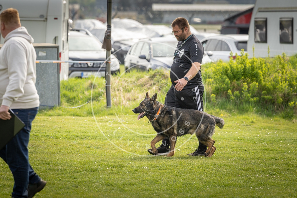 Pfotenfotografie_DV3A5017 | Hundefotografie, Tierfotograf, Pfotenfotografie, Fotoshooting Hund, Hunde Portrait, Hundesport, Hundeportraits, Heideshooting, Hunde, Sportfotograf, Hundefotograf, Turnierhundsport, THS,  - Realisiert mit Pictrs.com