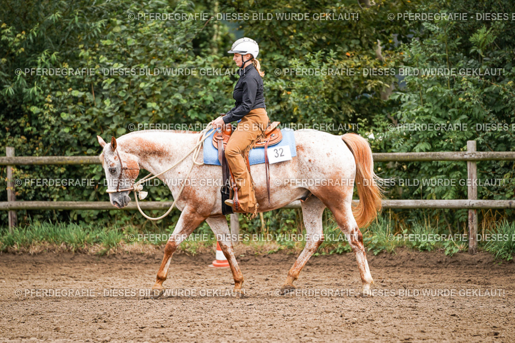 DSC04129 | Pferdegrafie