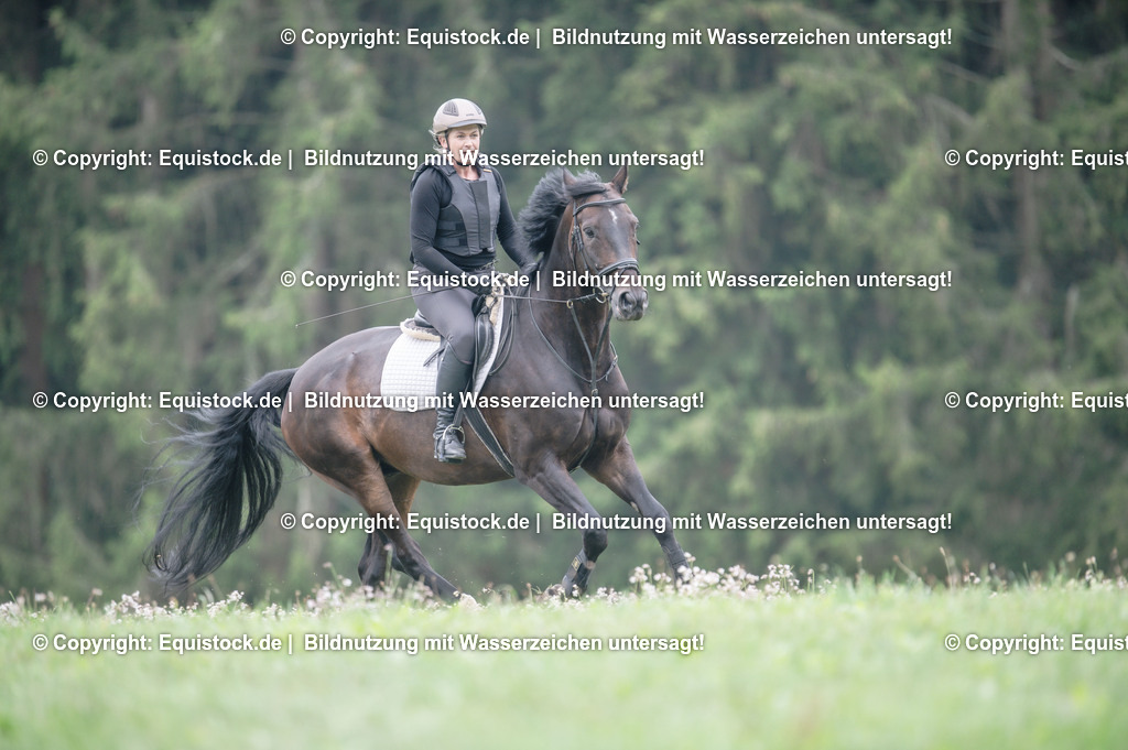 20250726_Vielseitigkeitslehrgang-Marbach_0353 | Foto: Thomas Hartig